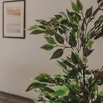 Luxury Private - Center Ferienhaus Ravenna