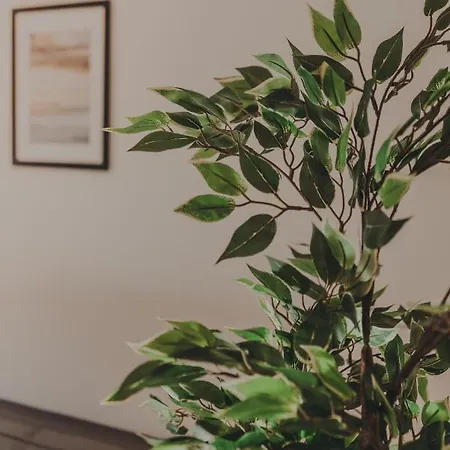 Luxury Private - Center Semesterbostad Ravenna