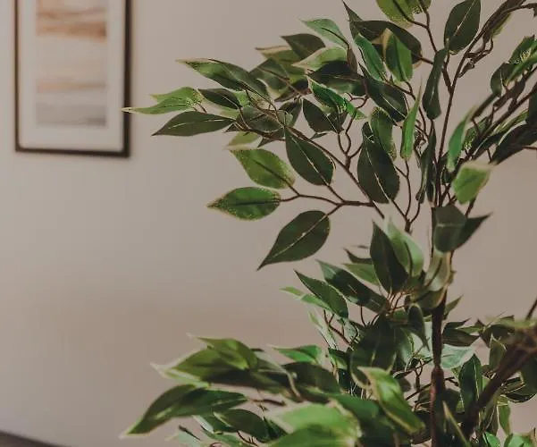 Luxury Private - Center 펜션 라벤나